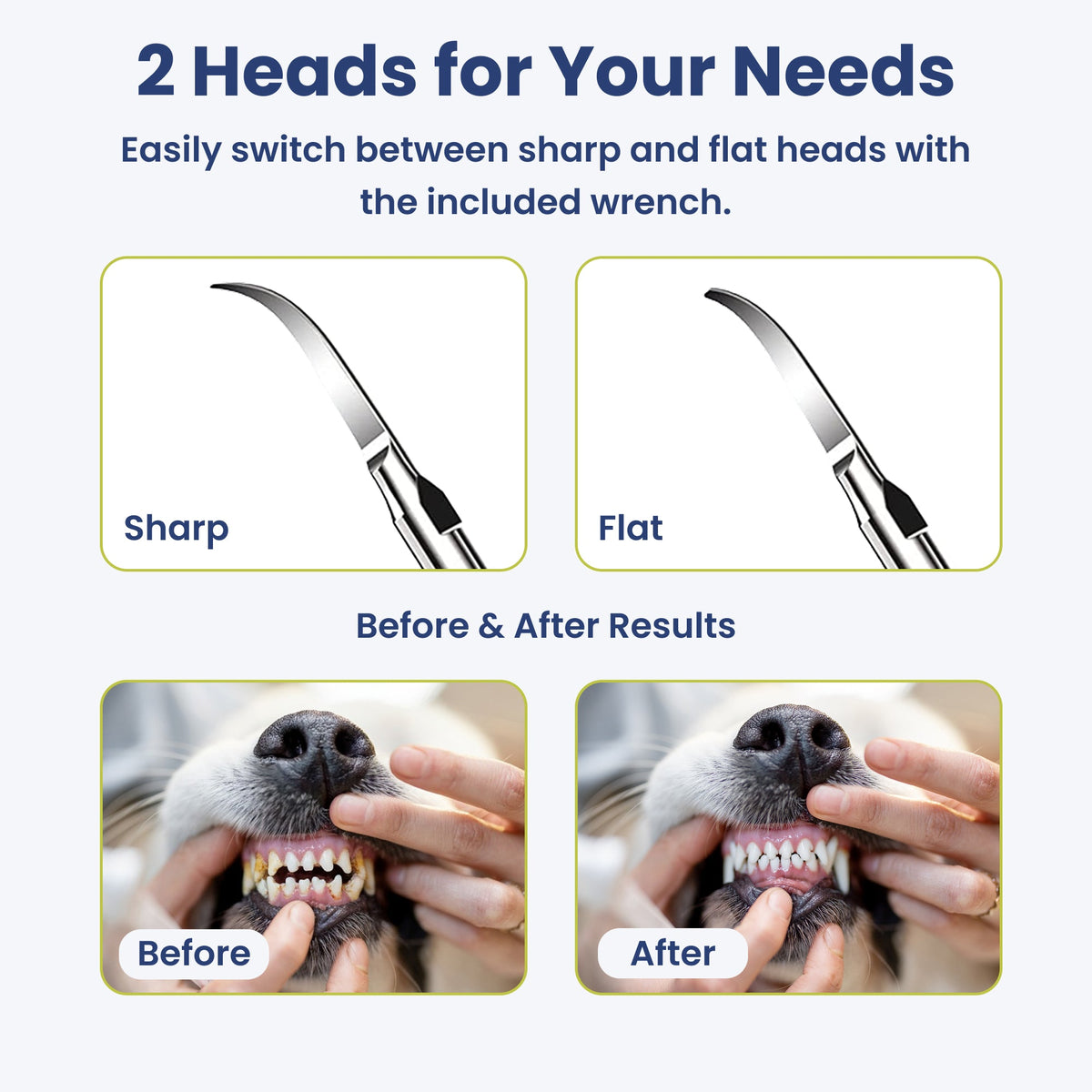 Groomify™ Ultrasonic Dental Kit