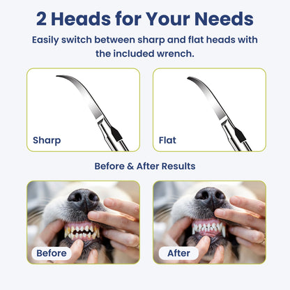 Groomify™ Ultrasonic Dental Kit