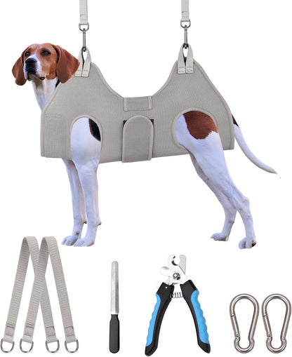 Harness