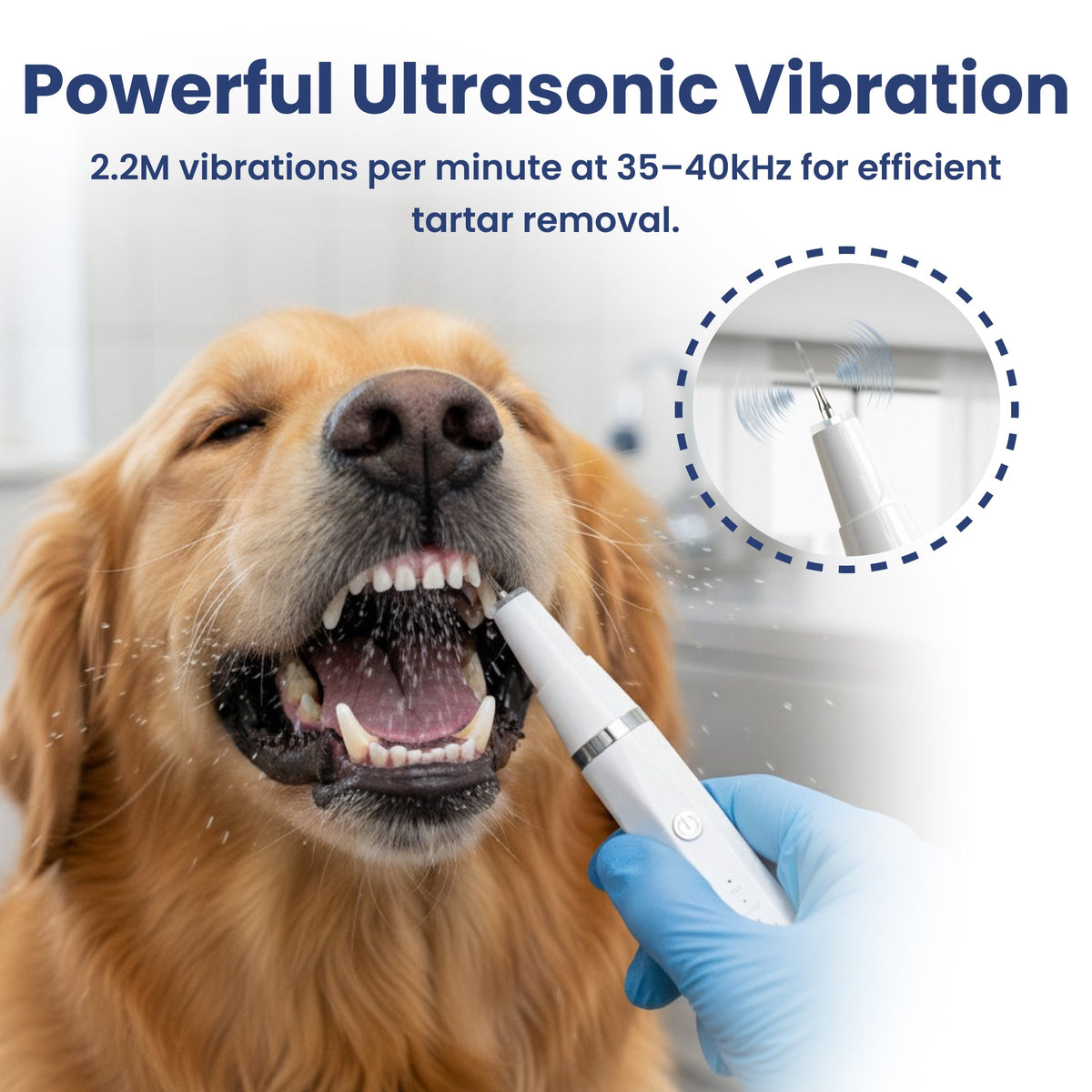 Groomify™ Ultrasonic Dental Kit