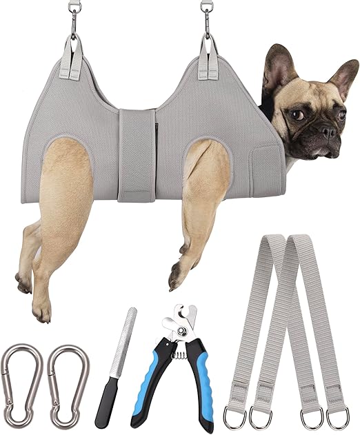 Harness