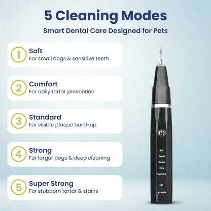 Groomify™ Ultrasonic Dental Kit