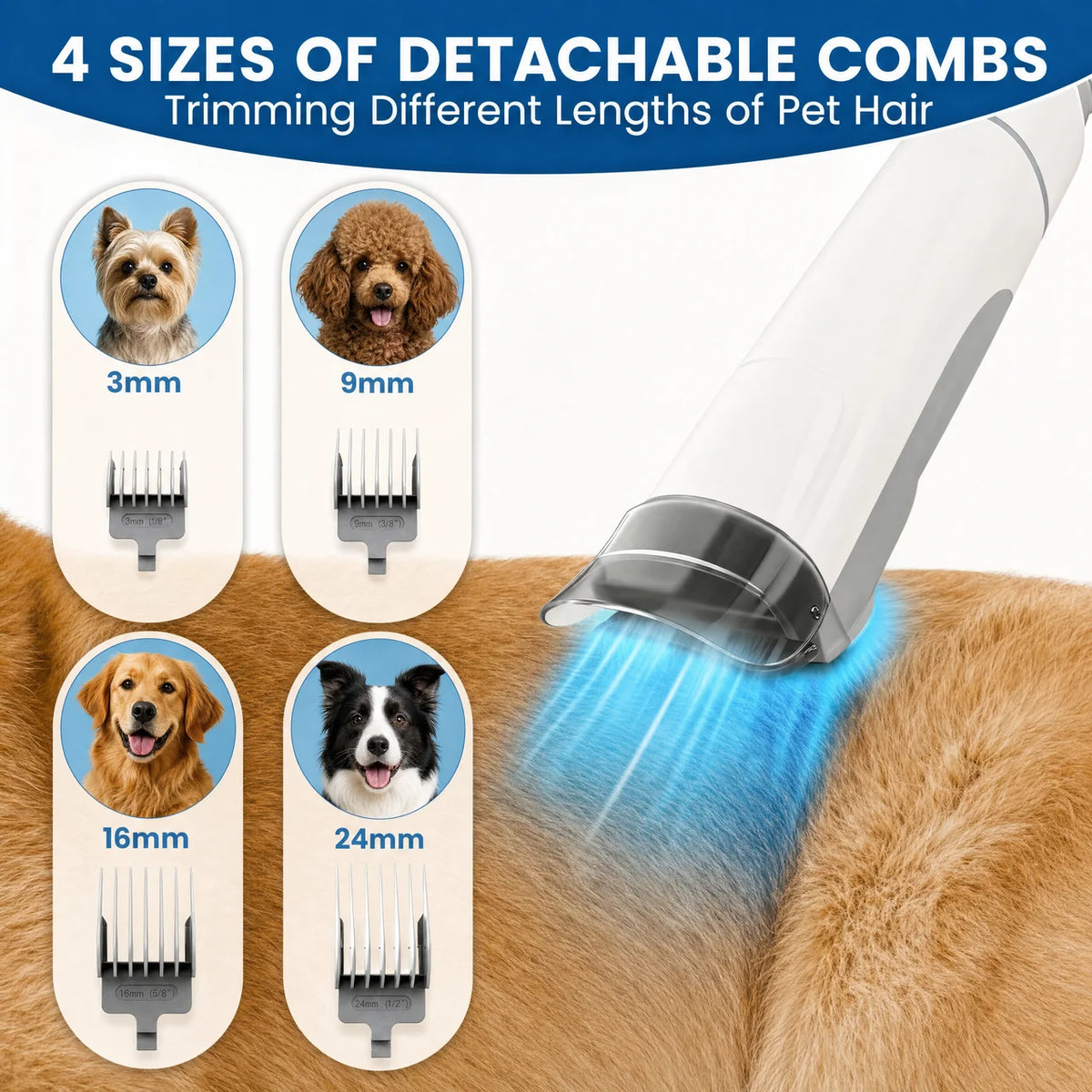 Groomify™ Perfect Paws Kit