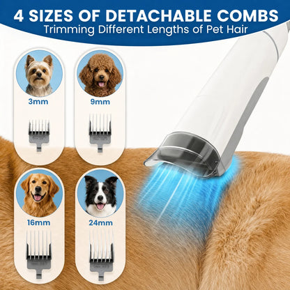 Groomify™ Perfect Paws Kit