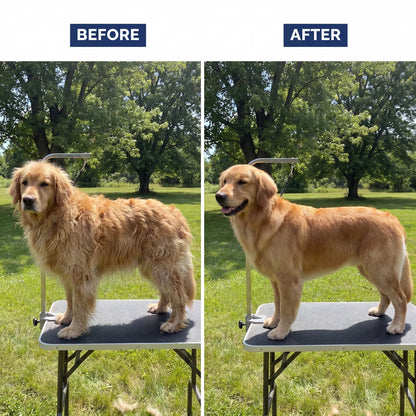 Groomify™ Perfect Paws Kit