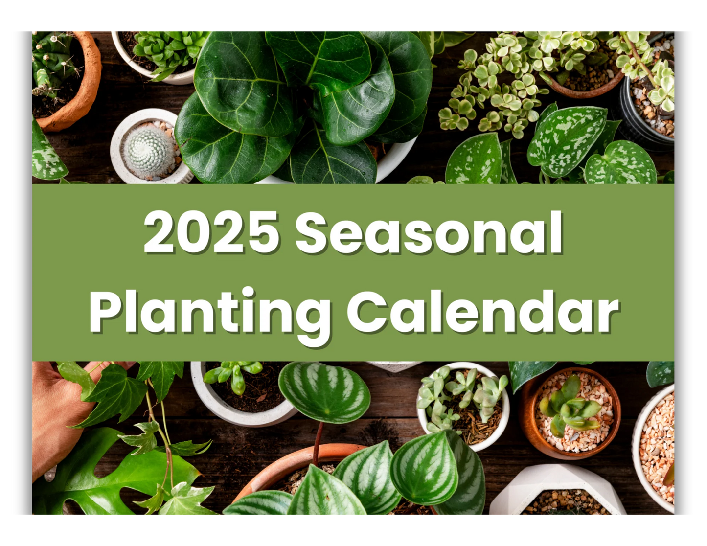 2026 Digital Planting Calendar